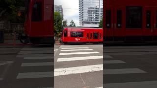 San Diego Trolley #theplanettracks #travel #sandiego #youtubeshorts #shortsvideo #shirtsfeed #train