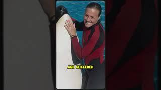 SeaWorld Trainer Dawn Brancheau Is Killed By An Orca  #nightmare