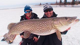 THICK PIKE on THIN ICE (Taro Murata visits Northern Manitoba)