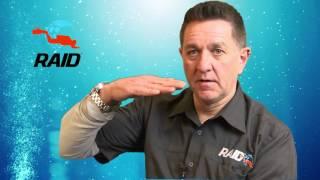 DIVE RAID - Paul Toomer