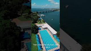 Sydney From the Harbour Bridge to the Opera House #shorts