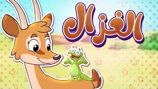 أغنية الغزال | قناة تيونز كيدز - Tunes Kids