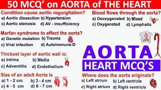 50 Mcqs on THE AORTA | Human Heart Mcqs | Cardiovascular System | Aorta Anatomy #heartmcqs