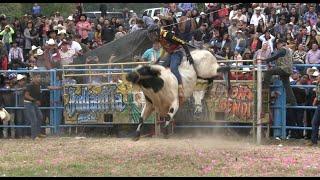 ¡¡LLEGO LA #1 LOS DESTRUCTORES DE MEMO OCAMPO!! JARIPEO EN NOCUTZEPO MICHOACAN 2023