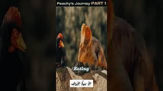 Peachy's Journey Part 1 #shorts #facts #amazing #viral #film