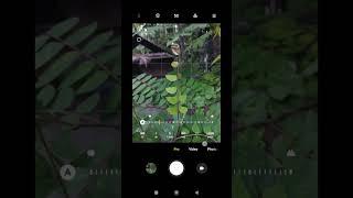 creative photography tips trick withe phone using pro mood? Mobile photography?