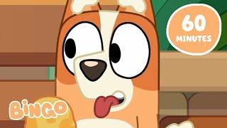 Bingo Cheeky Times!  | 60 MINUTES | Bluey & Bingo Silly Compilation  | Bingo - Official Channel