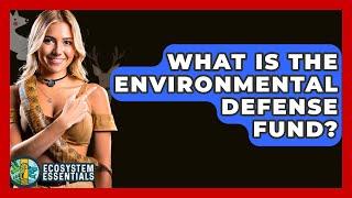 What Is the Environmental Defense Fund? - Ecosystem Essentials