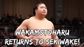 Wakamotoharu makes the case for an Ozeki Push at Kyushu '24!