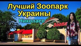 Николаевский Зоопарк 2019. Лучший зоопарк Украины.  Zoo of Ukraine.Zoo of Nikolaev