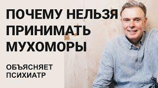 Почему нельзя принимать мухоморы