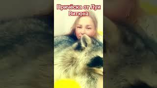 #ямыилюша #помощьбездомнымживотным #raccoon #анапа #reels #море #енотики #юмор #животные