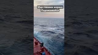 Как выглядит мир глазами моряка #смирупонитке #shorts