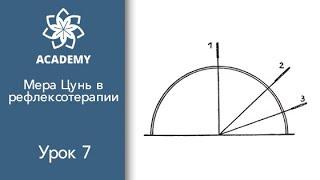Мера Цунь в рефлексотерапии. Онлайн курс рефлексотерапии. Академия акупунктуры Акумед.