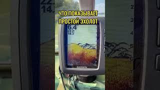Что можно увидеть в простой #эхолот #garmin при поиске перспективного места для рыбалки