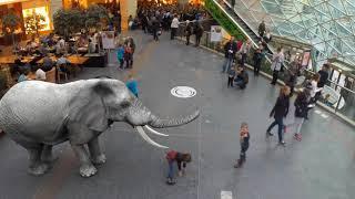 Augmented Reality AR Zoo