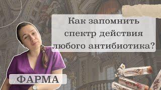 Как легко запомнить любой спектр антибиотика? | Фармакология