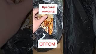 Красный #МУХОМОР #ОПТОМ #КУПИТЬ от 0,5кг #shorts