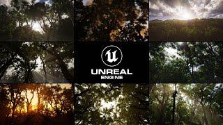 Trees Vol. 4 - Strong Wind Demo - Storm - Unreal Engine - Trailer - UE4 / UE5 (4K)