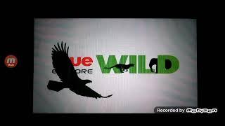 True explore WILD [1]