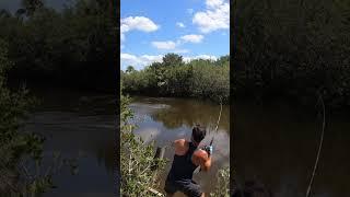 Absolute MONSTER BITE! Fishing Shallow Muddy Creek! #shorts