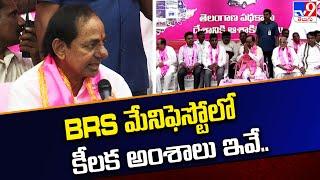 BRS మేనిఫెస్టోలో కీలక అంశాలు ఇవే..  | CM KCR Releases BRS Manifesto 2023 -TV9