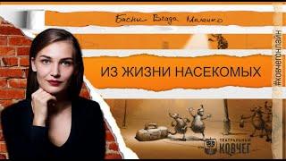 «Из жизни насекомых», басню Влада Маленко читает актриса театра Ксения Зиновьева