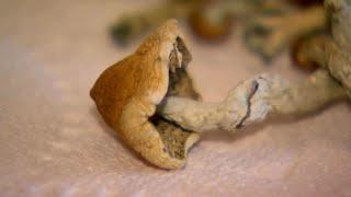 CBS 58 Investigates: Psychedelic drugs and depression
