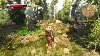 The Witcher 3 : Wild Hunt | Location Of Places Of Power (Ability Points)