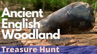 Treasure Hunting in Ancient English Woodland | Prehistoric Finds