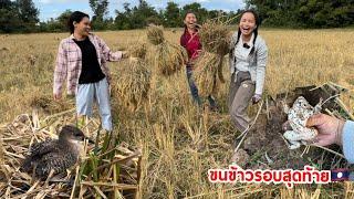 ทุกคนยิ้มดีใจขนข้าวรอบสุดท้ายของปีนี้ ຂົນເຂົ້າຮອບສຸດທ້າຍຂອງປີນີ້