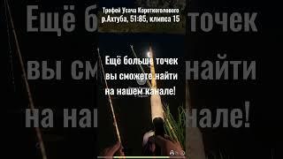 Трофей Усача Короткоголового в Русской Рыбалке 4! | РР4 #рр4 #русскаярыбалка4 #русскаярыбалка4фарм