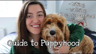 What to Expect when you're Expecting a (Cavapoo) Puppy