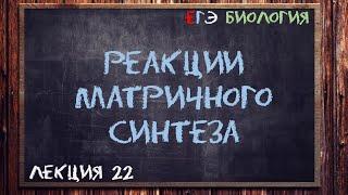 Л.22 | РЕАКЦИИ МАТРИЧНОГО СИНТЕЗА | ОБЩАЯ БИОЛОГИЯ ЕГЭ