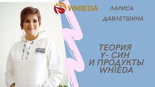 ТЕОРИЯ У-СИН И ПРОДУКТЫ   WHIEDA.