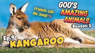 Fun Facts for Kids about Kangaroos | God's Amazing Animals (S2 Ep9)