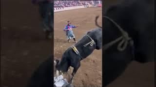 Obetz Bull Riding Analysis 1.20.25