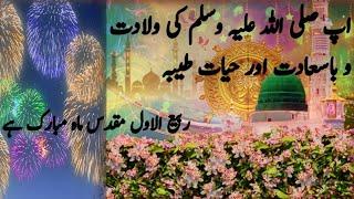 Ap SAW Ki Wiladat Ba Saadat Aur Hayaty e Taiyyba /Rabi ul Awal#viralvideo #islamicsabaqamozwaqiat