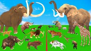 Modern Mammals vs Cenozoic Beasts Size Comparison Mammoth T-Rex Vs Elephant Lion Animal Epic Battle