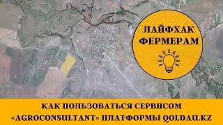 Как пользоваться сервисом «AgroConsultant» платформы Qoldau.kz – World of NAN