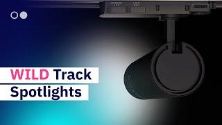 Track lights - Ledkia