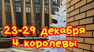  23-29 декабря 2024 г  4 королевы 