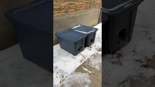 How to make cat shelters for only $25!