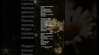 #поэзия #стихи #poetry