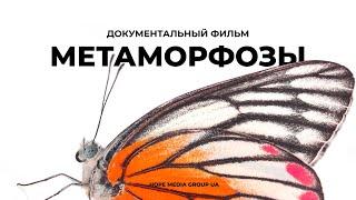 Метаморфозы. Перевоплощение в бабочку. Документальный фильм | Мифы эволюции