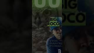 Rocco the big ol owl