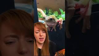 my frogs commit crimes