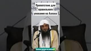 Такой человек НЕ СМОЖЕТ ПРАВИЛЬНО УПОВАТЬ на Аллаха