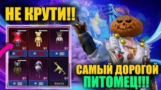 ЭТО САМЫЙ ДОРОГОЙ ПИТОМЕЦ в PUBG MOBILE!! НЕ КРУТИ РУЛЕТКУ "BEARBRIKS" ПОКА НЕ ПОСМОТРИШЬ ЭТО ВИДЕО!