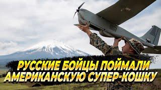 Русские бойцы поймали американскую супер-кошку - Новости